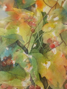 Watercolour - Fruit of the Vine